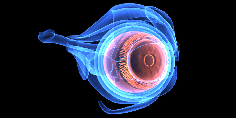 Tips for Preventative Eye Care